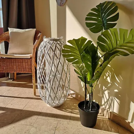 Praiamar T1 5º - New Uauhomes Beach 1bdr 300mts To Beach דירה פורטימאו